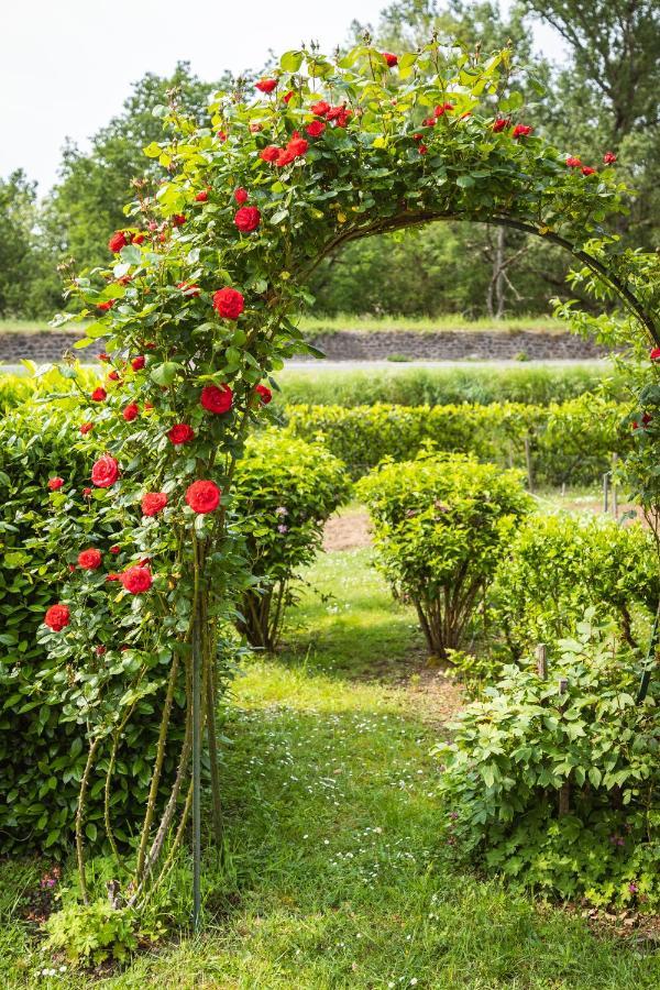 Clos Fleuri : Amboise Home With Amazing Gardens Kültér fotó